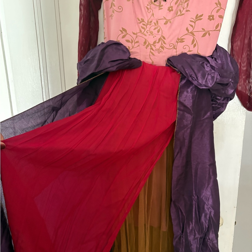 Hocus Pocus Sanderson Sisters Costumes - Picture 3 of 11